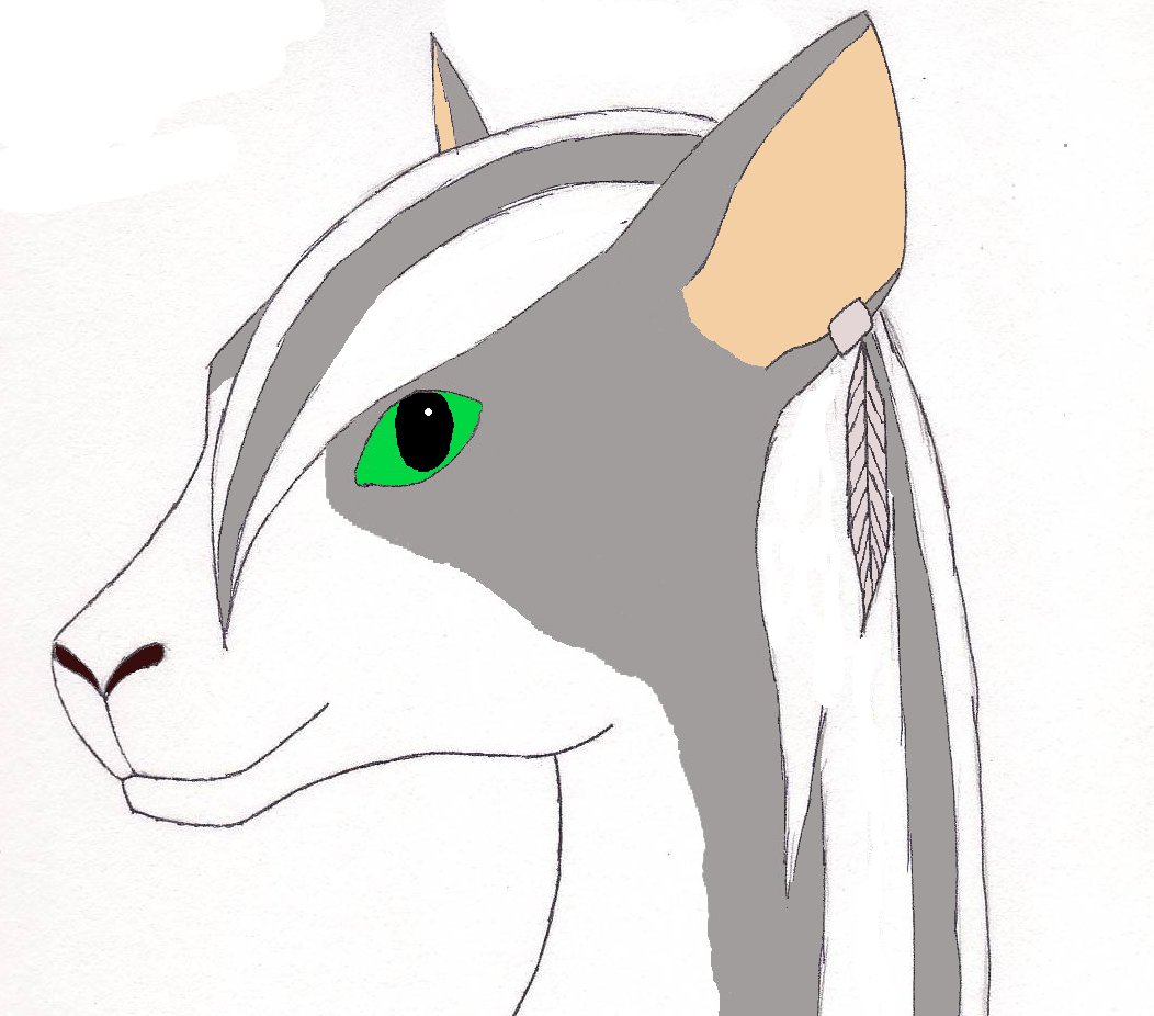 portrait15.jpg
